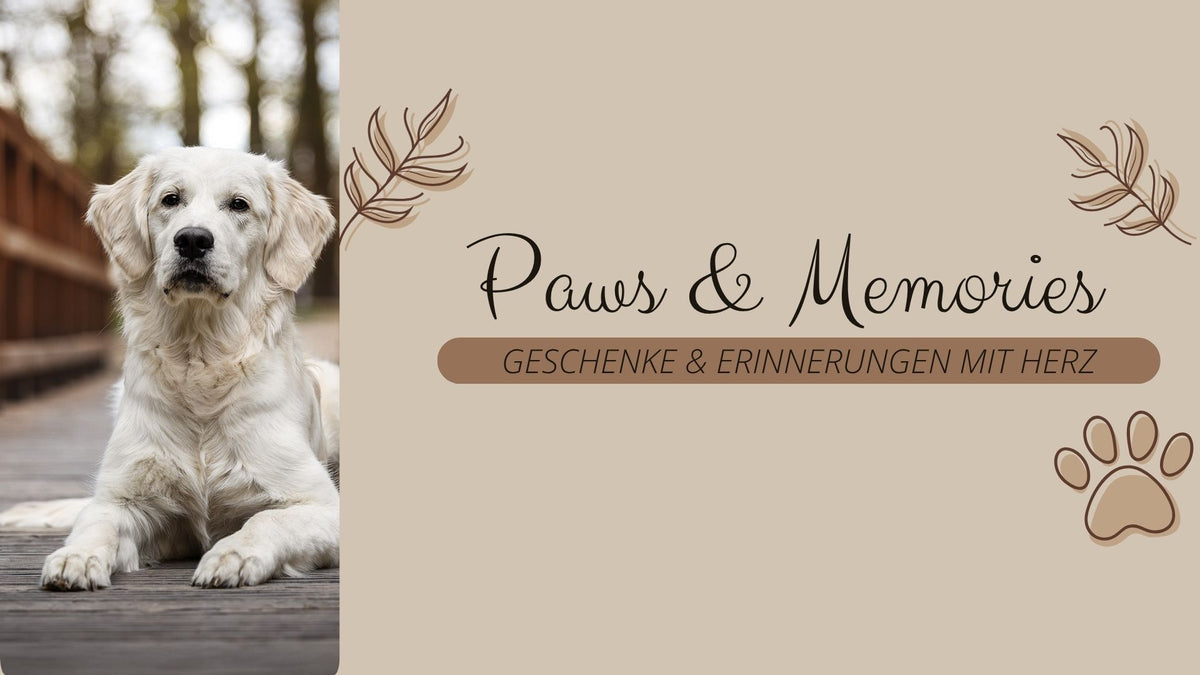 Personalisierte Geschenke für Hundebesitzer von Paws & Memories – Leckerlidosen, Journale und mehr, im Hero-Banner der Startseite