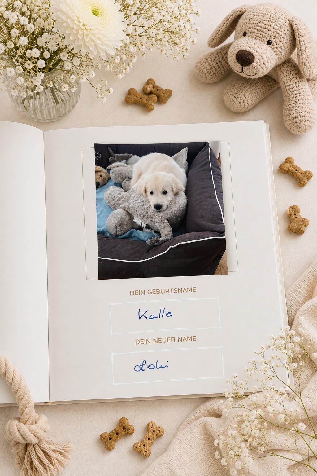 Hunde Erinnerungsbuch – Pfotenabdrücke im Herzen | Erinnerungsalbum für Deinen Hund | Geschenk für Hundeliebhaber  | Notizbuch  | Tagebuch